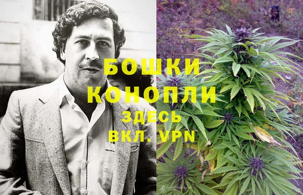 дурь Осинники
