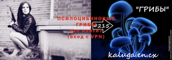сатива Осташков