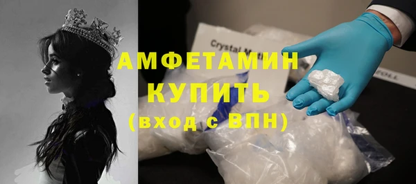 сатива Осташков