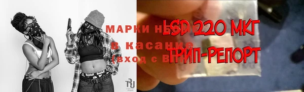 сатива Осташков