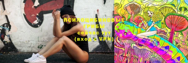 дурь Осинники
