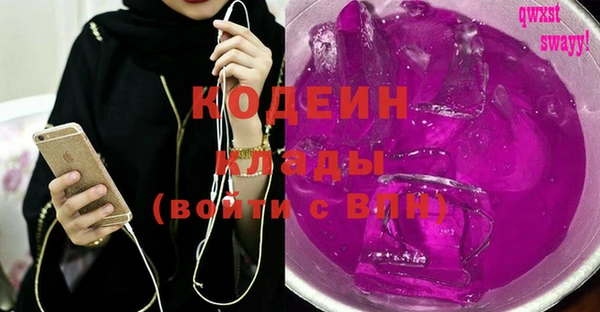 шишки Елизово