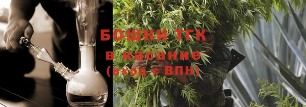 шишки Елизово