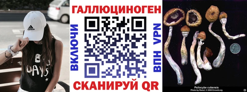 сколько стоит  Кузнецк  Галлюциногенные грибы мухоморы 