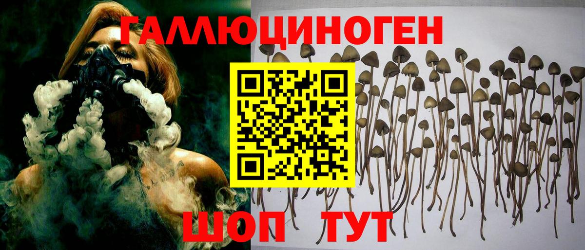 Кузнецк  Галлюциногенные грибы Psilocybine cubensis  купить наркотики цена  Галлюциногенные грибы Psilocybine cubensis  Вход с VPN 